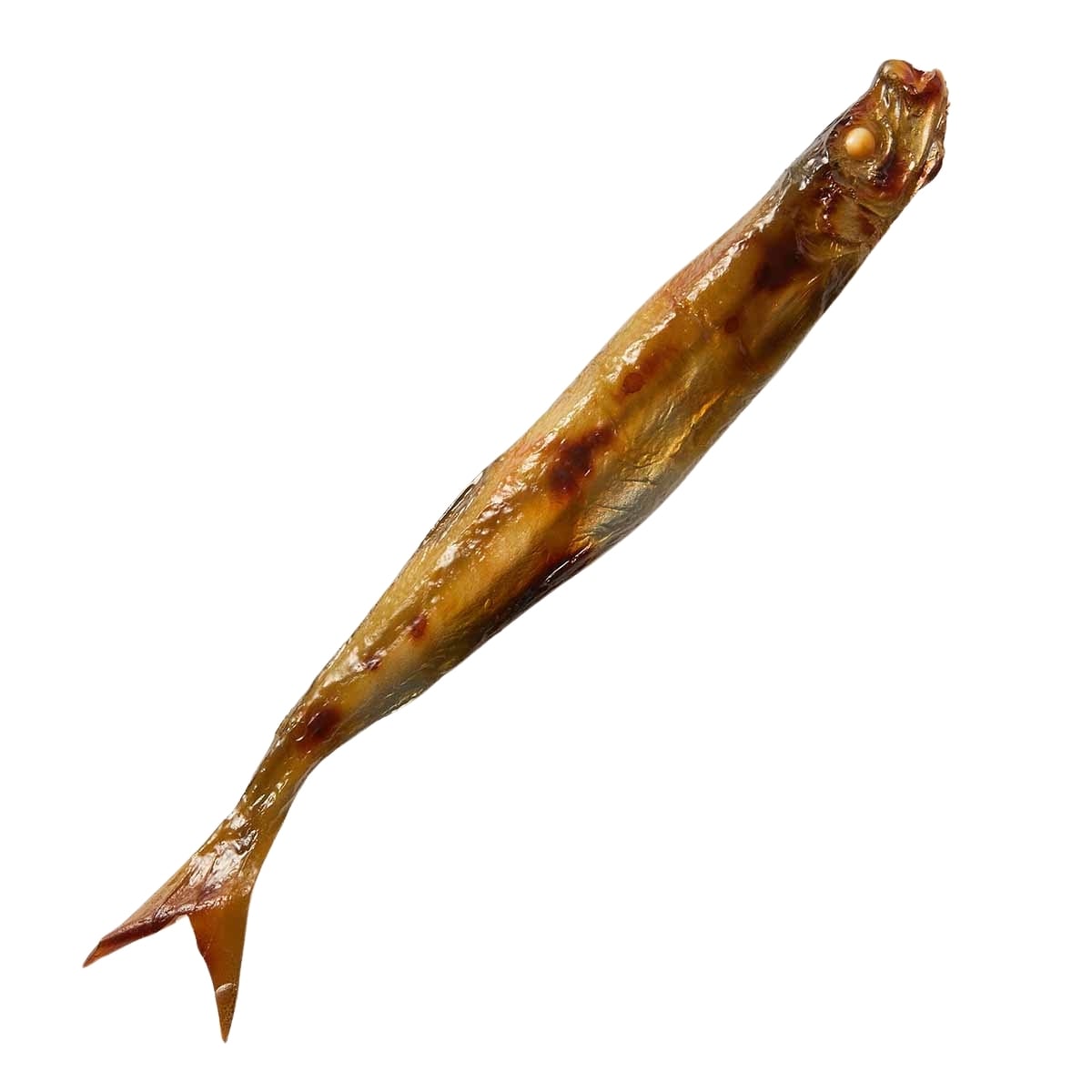食品サンプル ししゃも パーツ