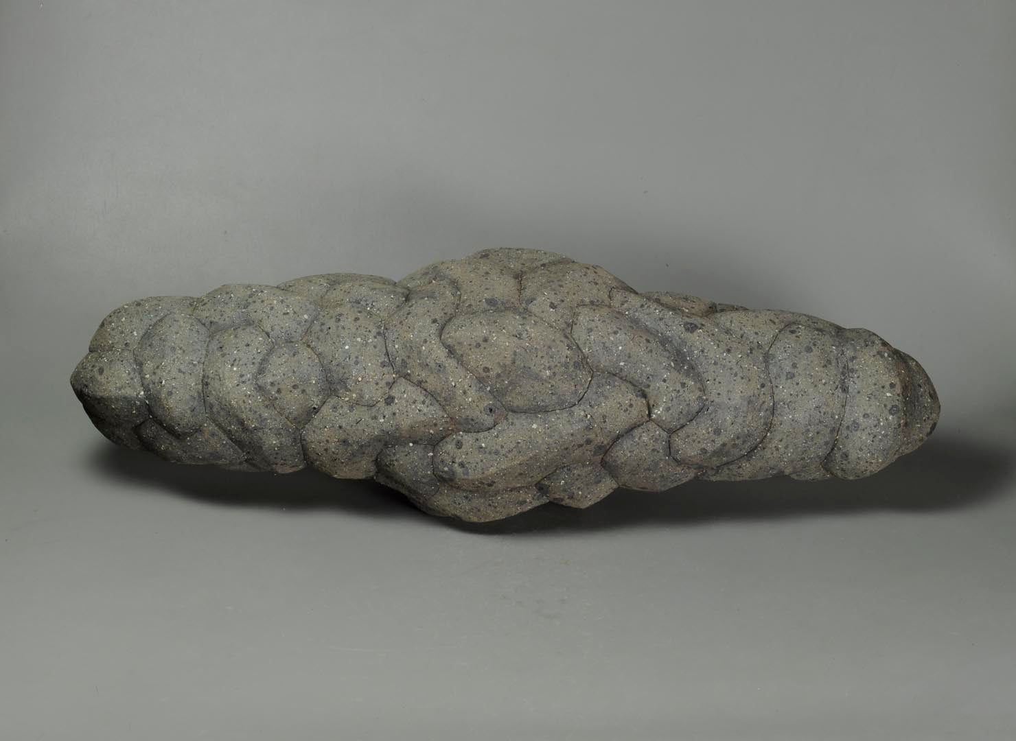 陶芸家 竹内真吾