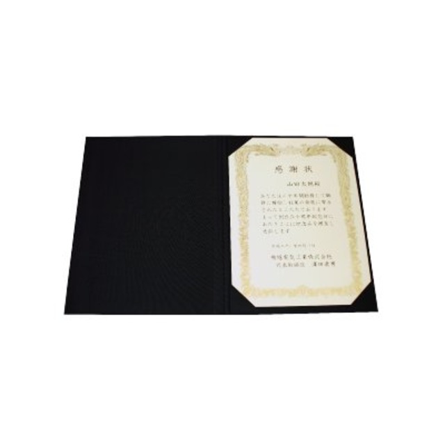 信誠堂 賞状・証書ケースファイル B4 縦型