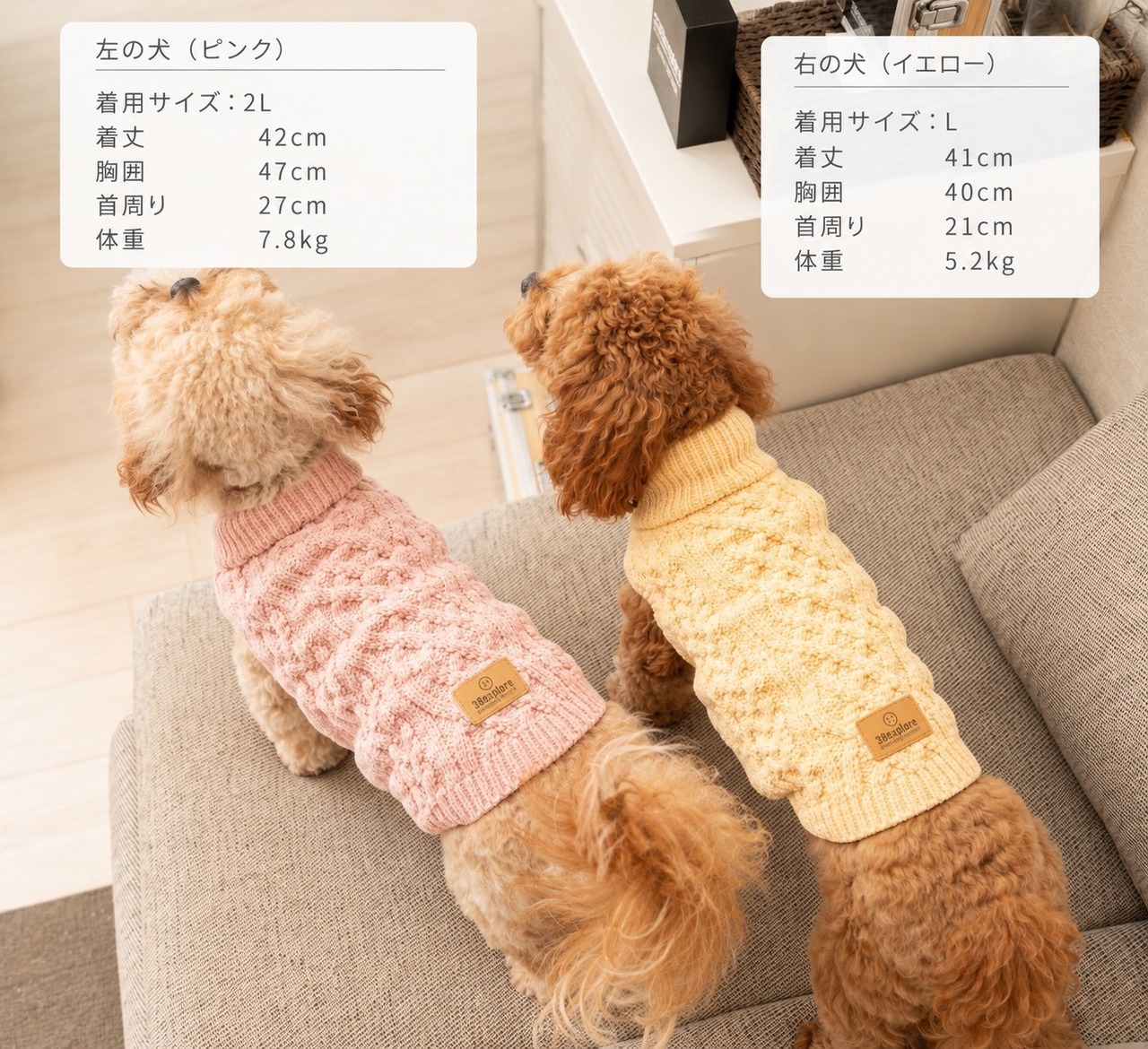 TOREOTTO38 DOG KNITVEST / PINK