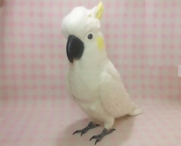 【羊毛フェルト】キバタン　鳥　アヒルおもちゃ持ち 羊毛フェルト】キバタン 鳥 アヒルおもちゃ持ち