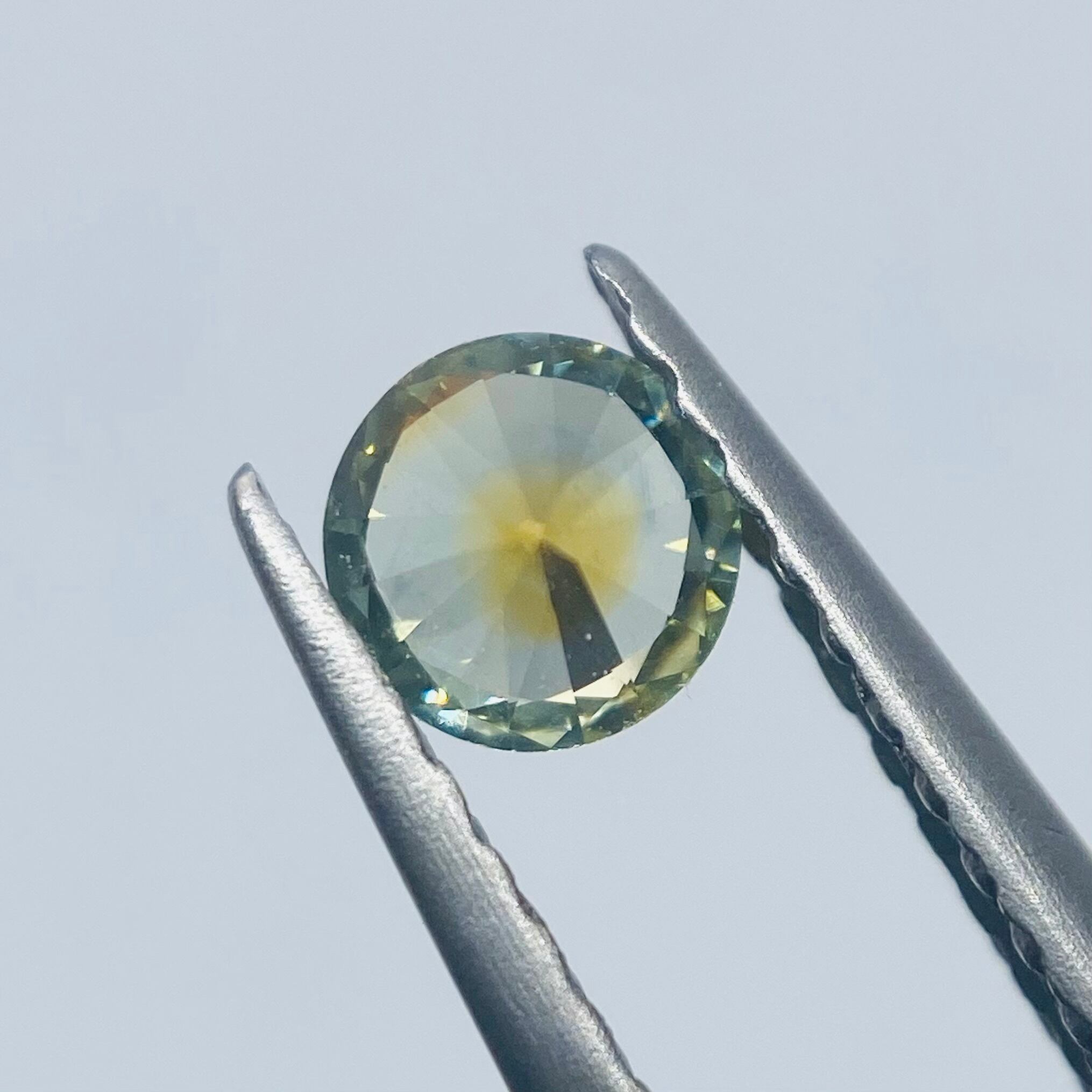 S様専用　ヒマワリ　モンタナサファイア