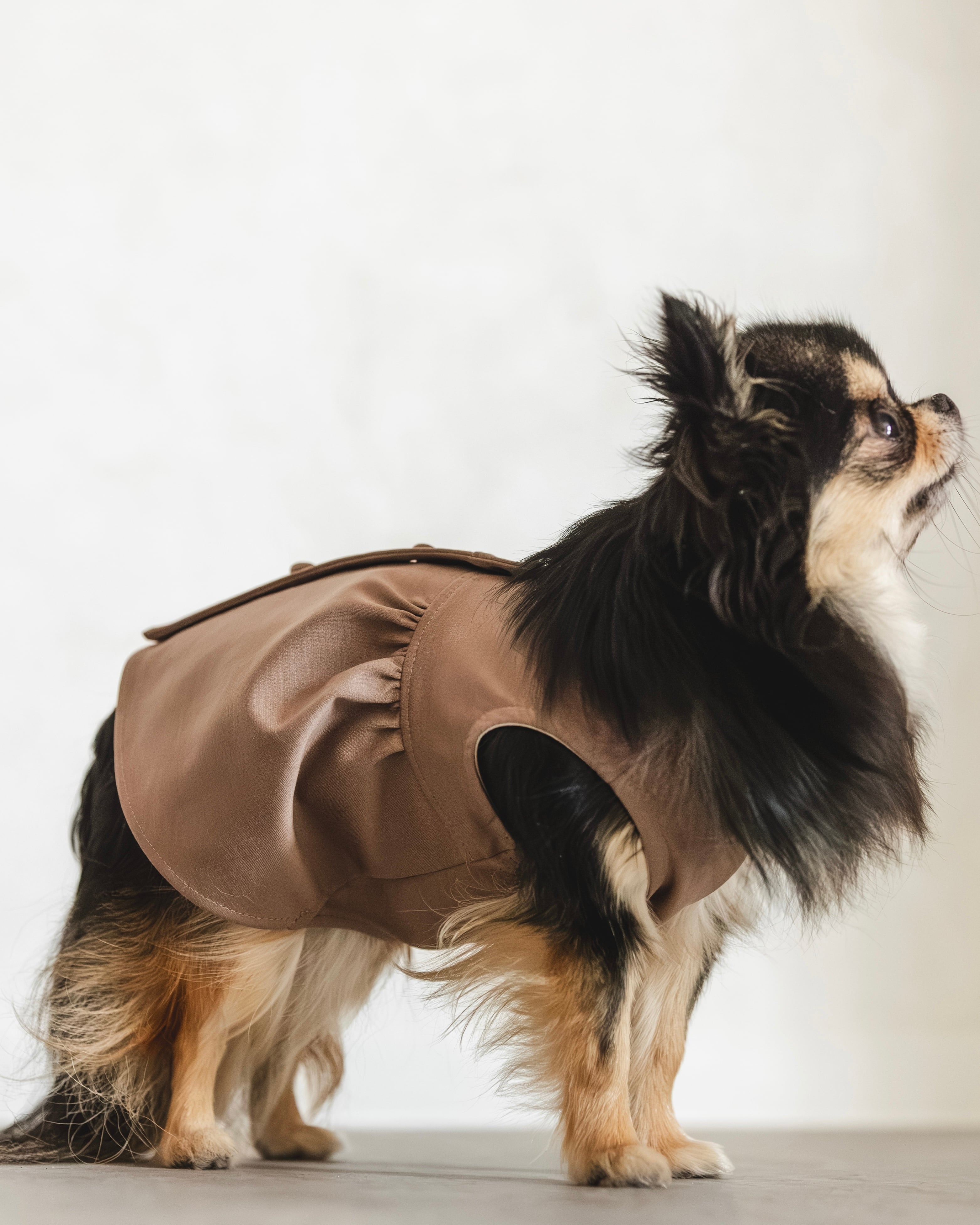 Superior Pima(ブラウン)