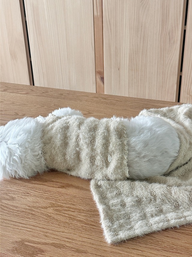 〈即納アイテム〉EYOU / ボードリーセーター (ベージュ)