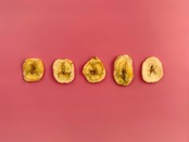 C011 | コスモスピンク A3