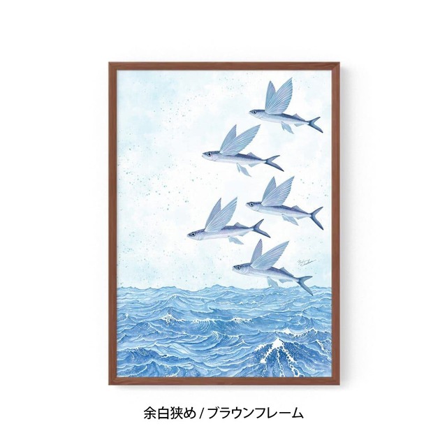 A2｜魚翔海図（ぎょしょうかいず）（フレームあり）