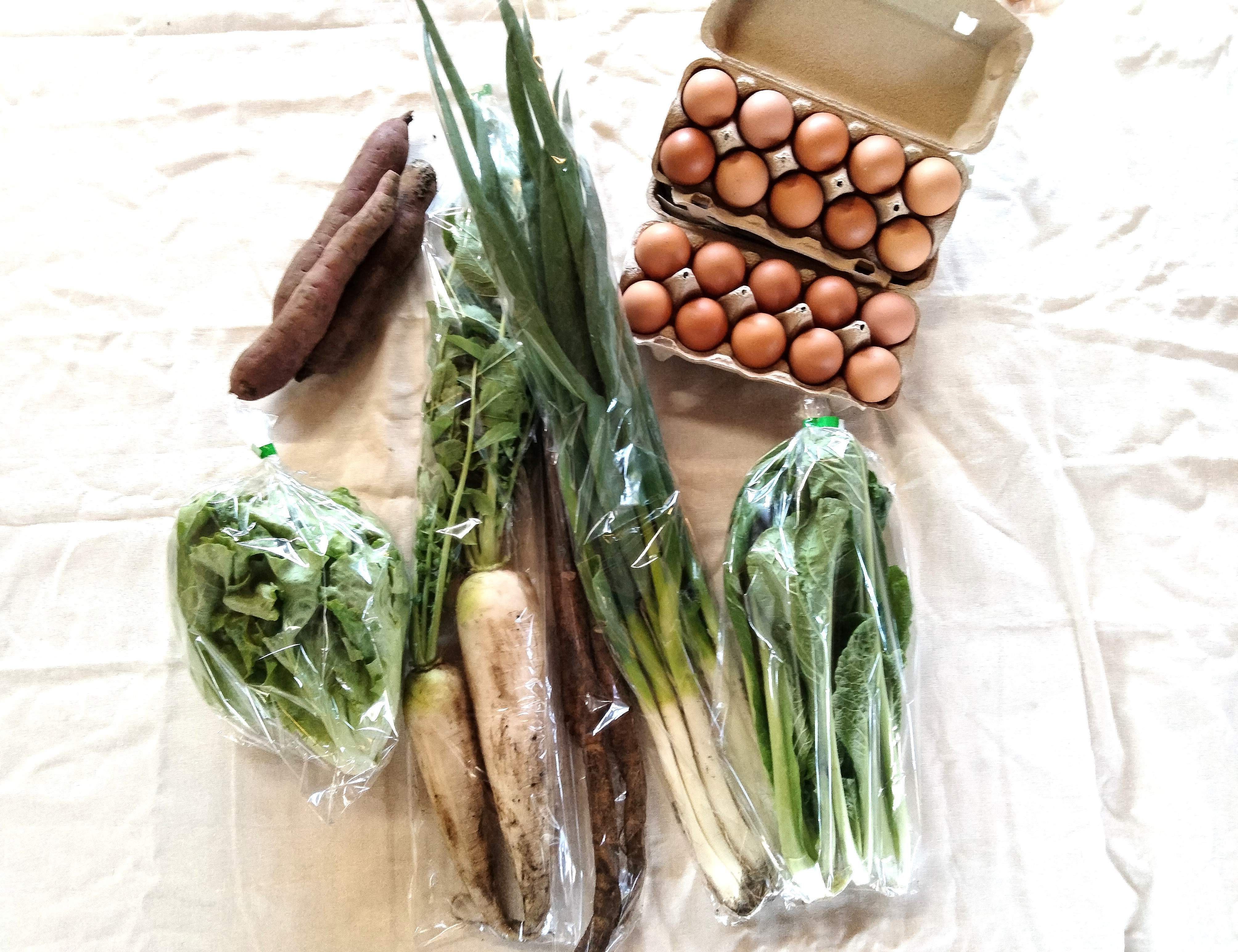 卵20ケ＋旬の野菜ミニセット（5-6種類程度） | 椛島農園