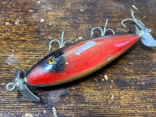 Creek Chub INJURED MINOW [6060]