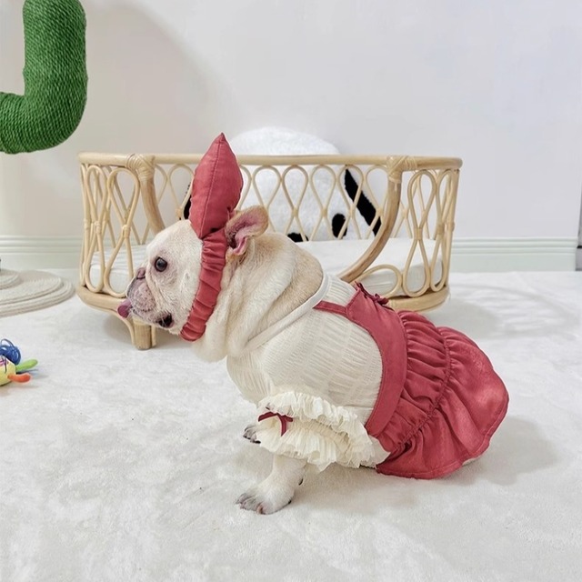 フレンチブルドッグ・パグ用リボン付ドレス　00188