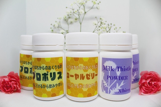 チョコボ&アルビー　ドライTシャツ（サックス）