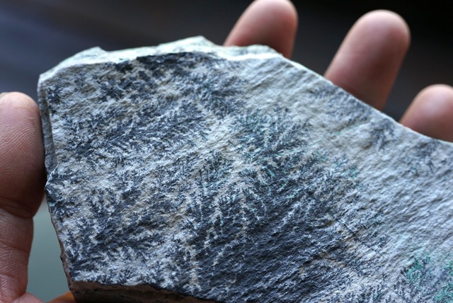 コンゴ産デンドライト・クリソコラ Dendrite / Chrysocolla ③