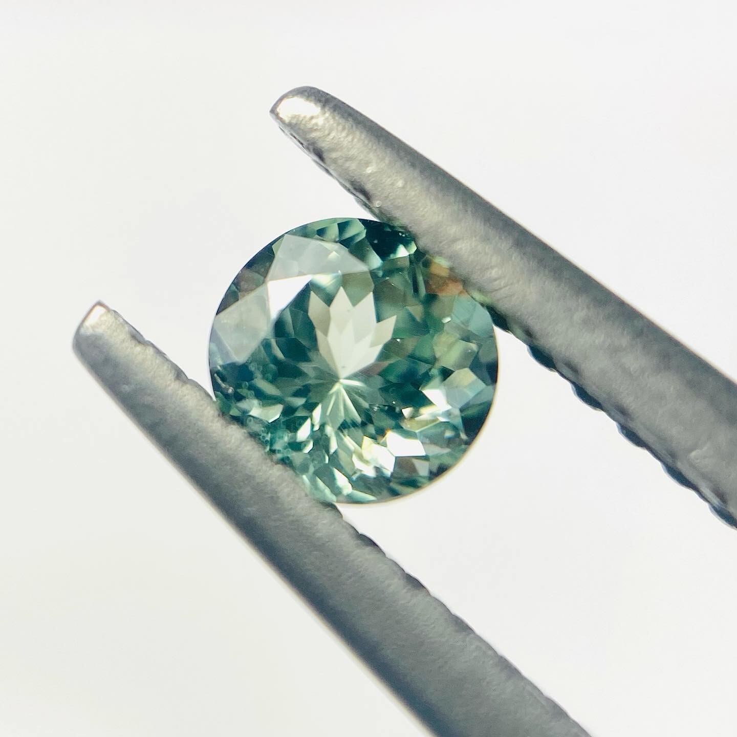 春の光キラキラ　コーネルピン