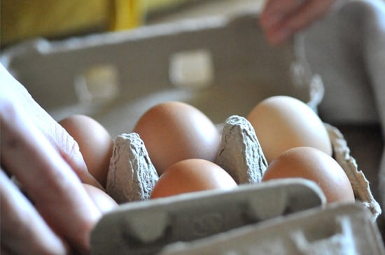 レモンイエローのコク】平飼い黒鶏 ネラの卵・6個入り | micotoya