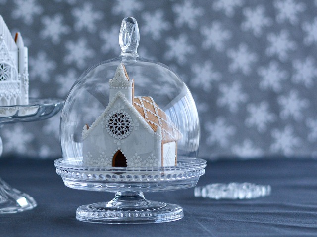 "Snow globe" DIY cookie kit & video lesson