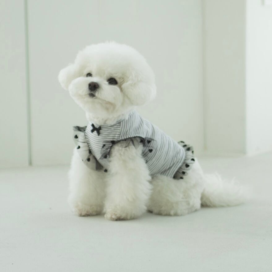 〖予約〗C0020 グリビティーシャツ