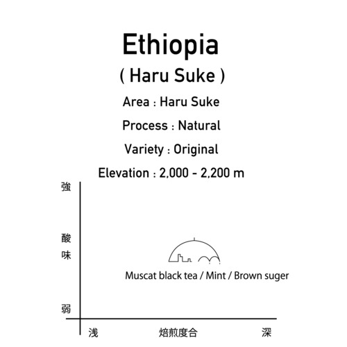 エチオピア / ハルスケ 200g