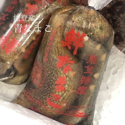 青ナマコ 能登産 1キロ【青なまこ1キロ】冷蔵 豊洲直送