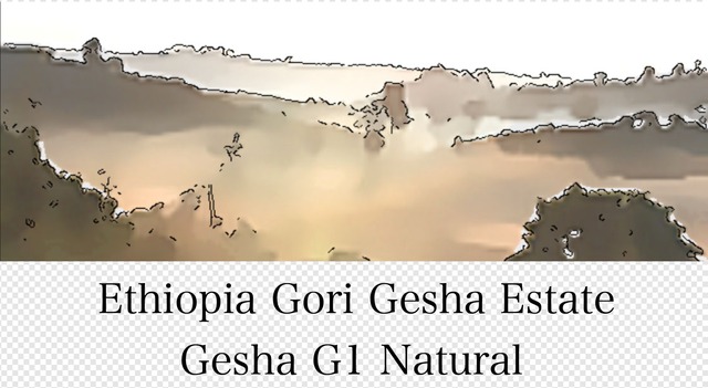【エチオピア】モカ ゲイシャ G1 Natural 150g