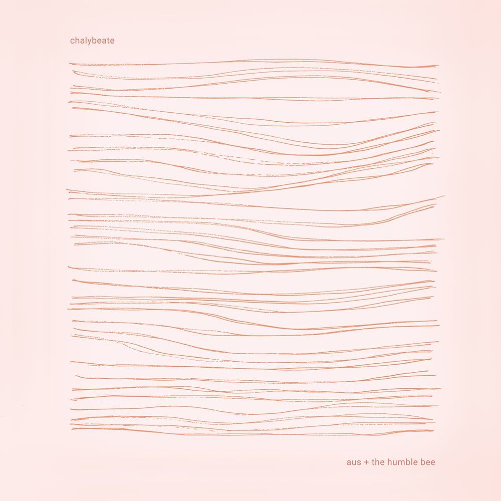 【レコード】aus + The Humble Bee - Chalyberate(FLAU)