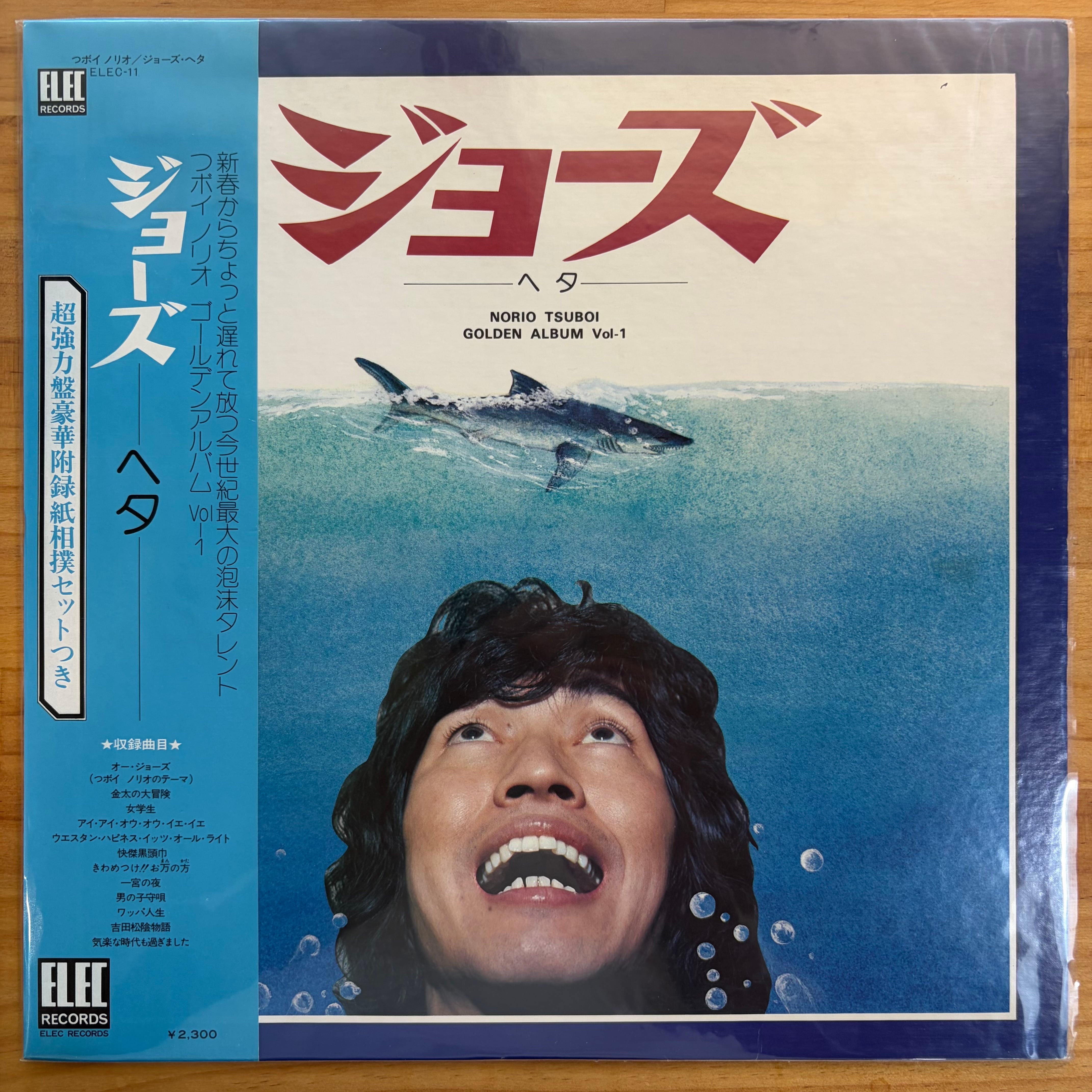 テレサ野田 
