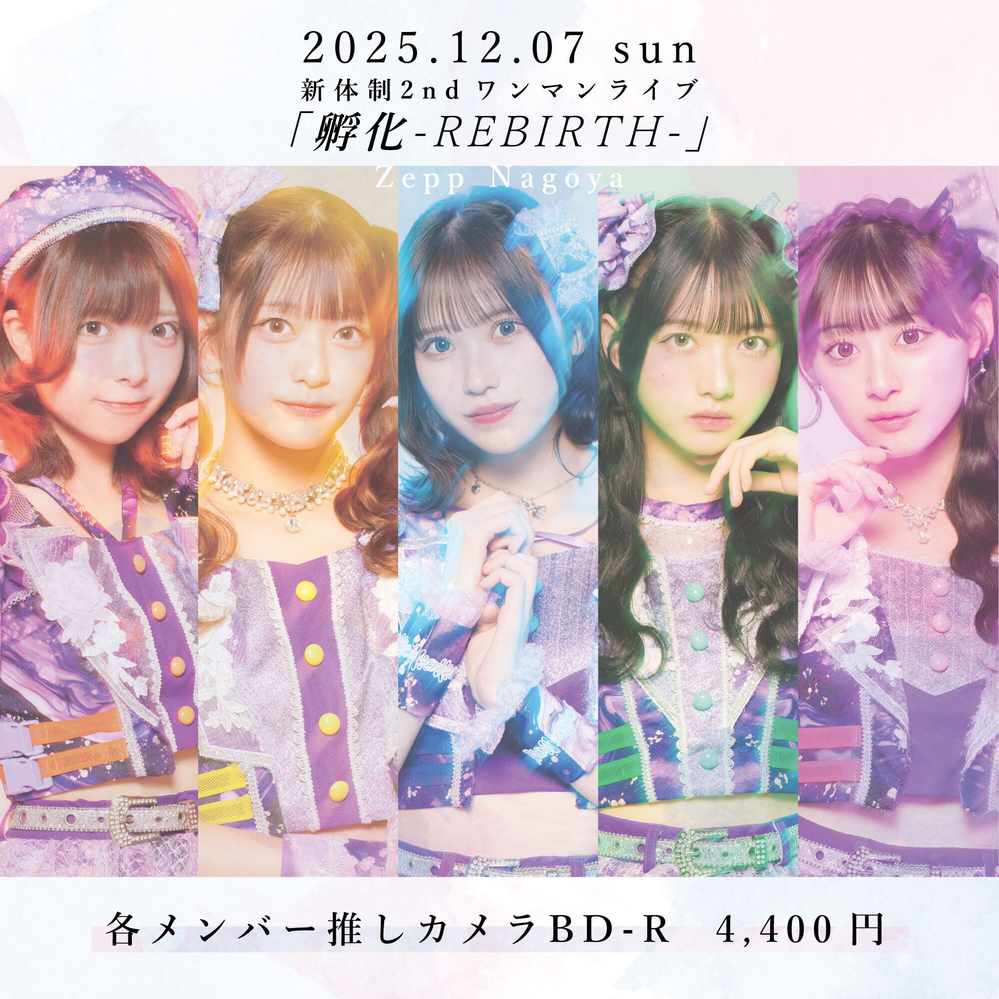 手羽先センセーション オンラインストア