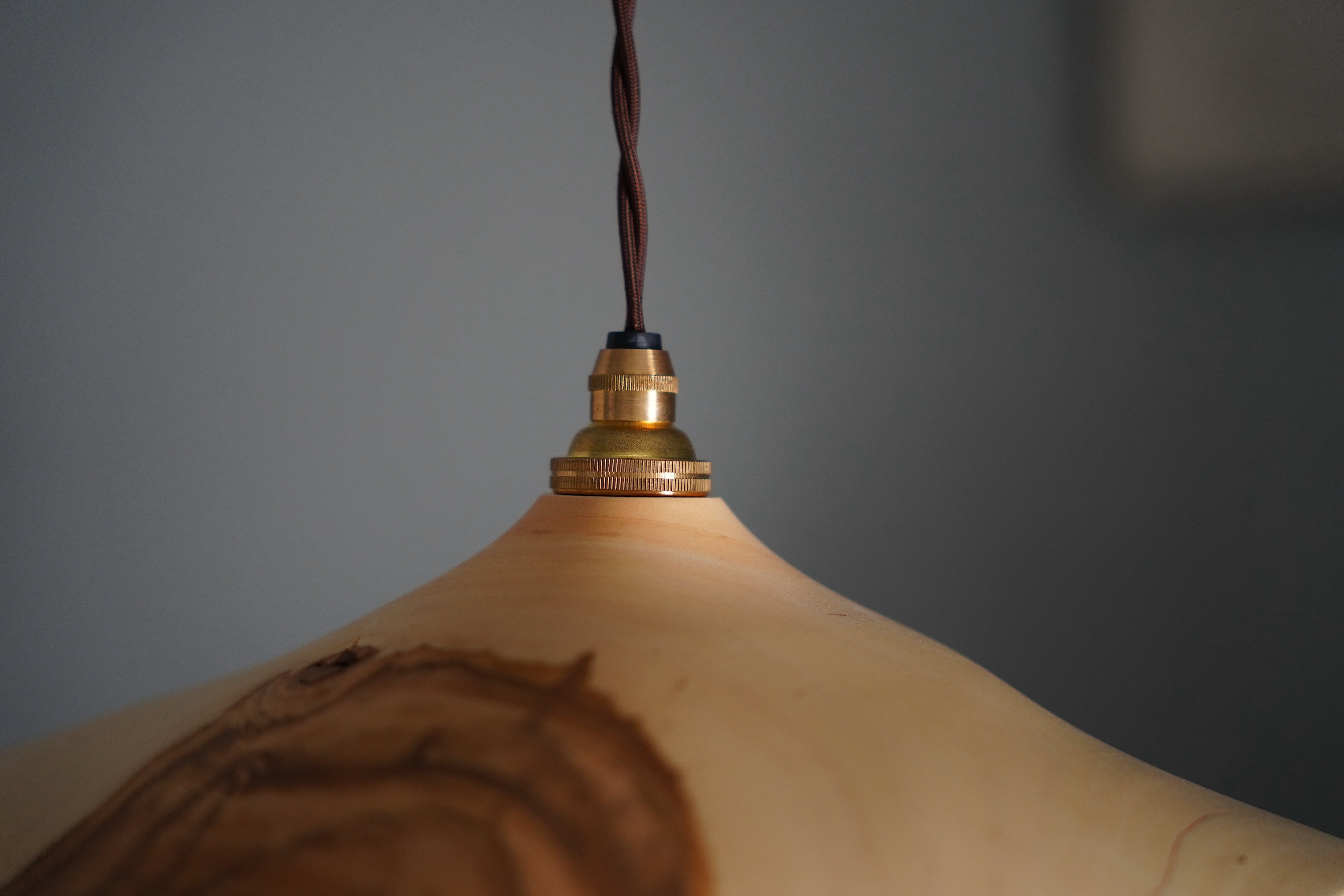 安藤萌 サクラの木 ランプシェード | DE OJAL omomuki