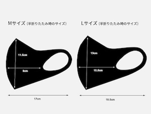 エアロシルバー aerosilver 洗える抗菌防臭ストレッチマスク(FM-001)全5色