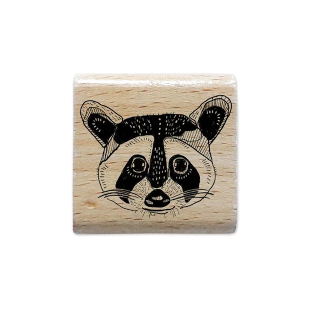 Raccoon stamp