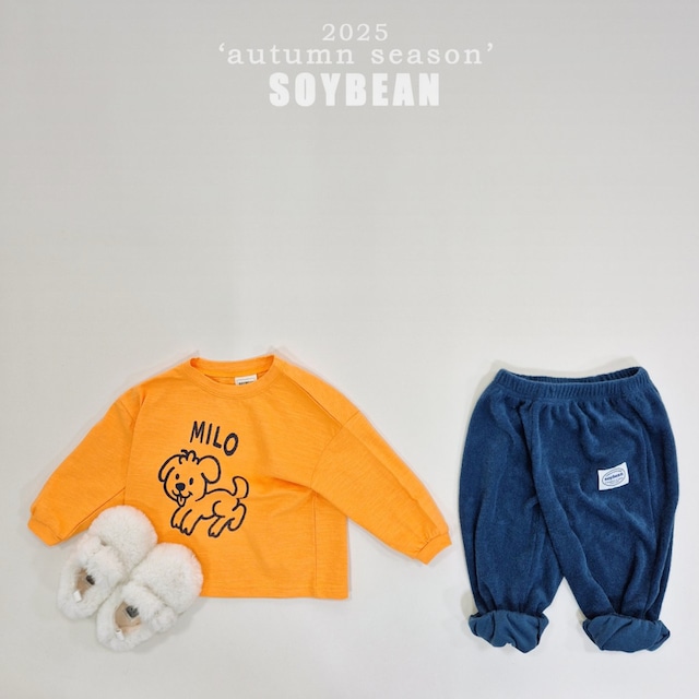 ★即納 テリージョガーパンツ olive Lsize XLsize 【soybean】