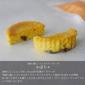 地球に優しいエシカルチーズケーキ -かぼちゃ-