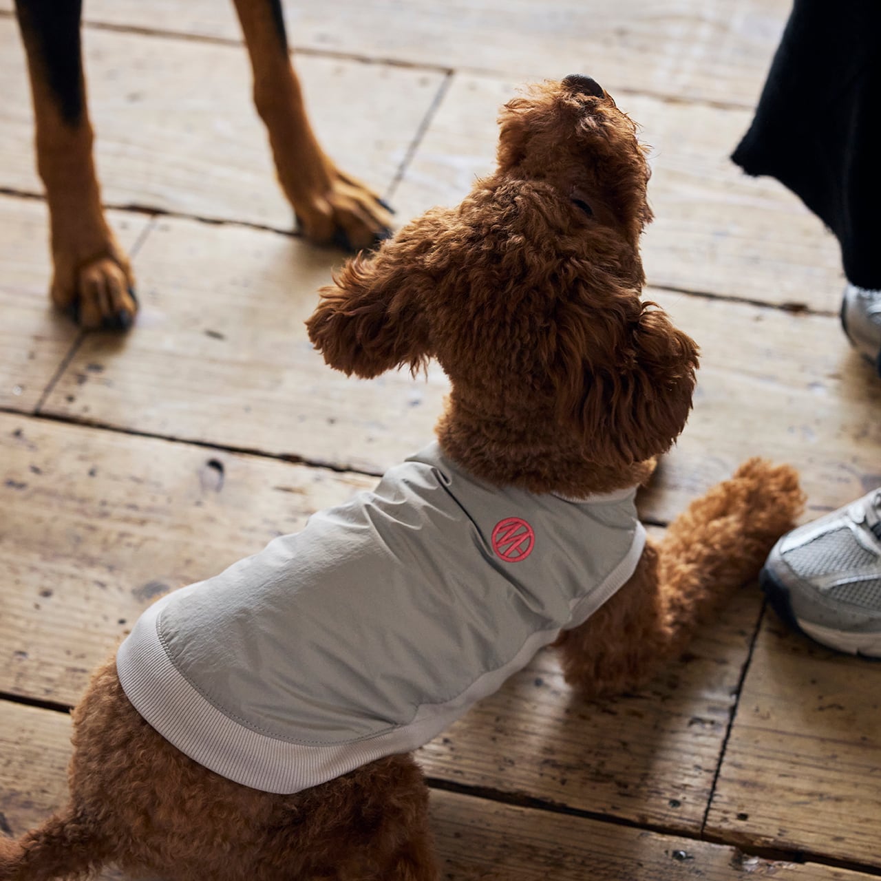 PISTE（XL.XXL） ピステ | MANDARINE BROTHERS マンダリンブラザーズ