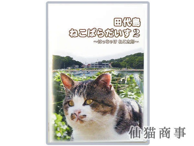 DVD - 田代島ねこぱらだいす2　～はっちゃけ　ねこ太郎～ - 仙猫商事