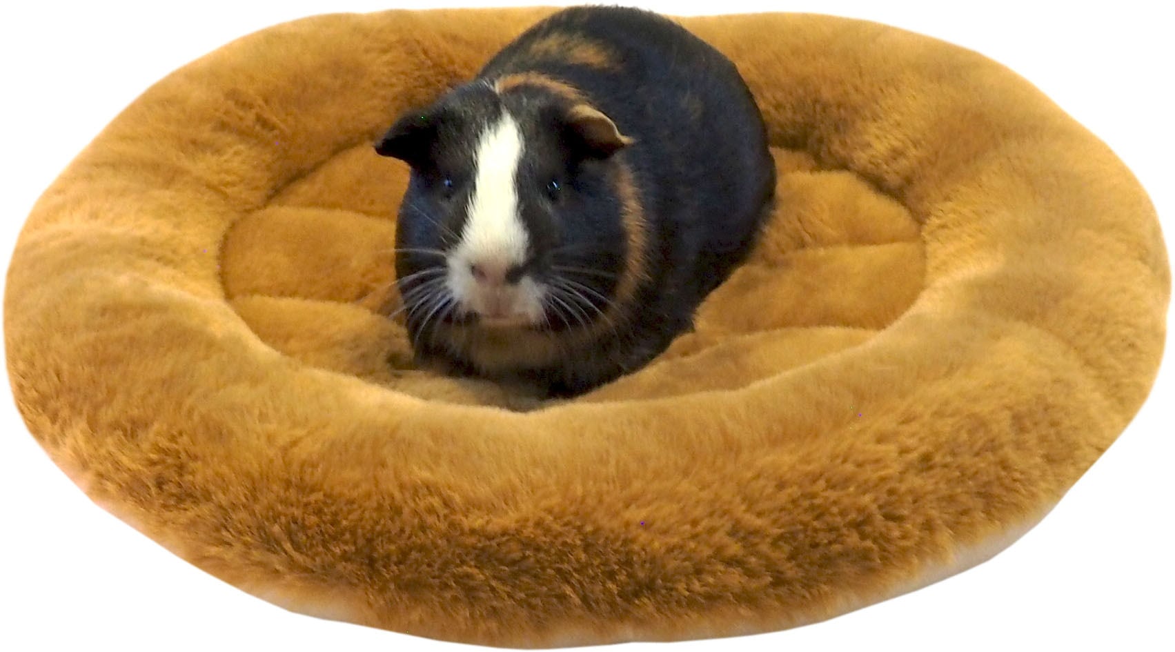 【小動物】 もこもこラウンドマット ホワイト/ブラウン