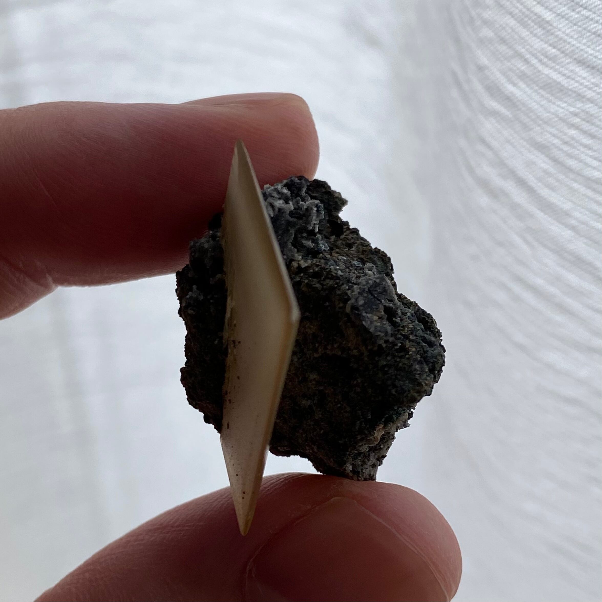 ウルフェナイト【Wulfenite】ナミビア産 | PEANUTS MINERALS