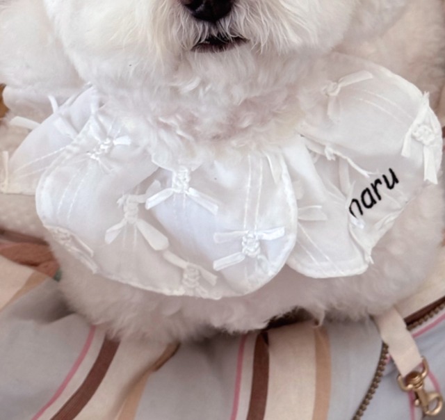 【予約】BLANCO cape / Lolifa select　韓国犬服