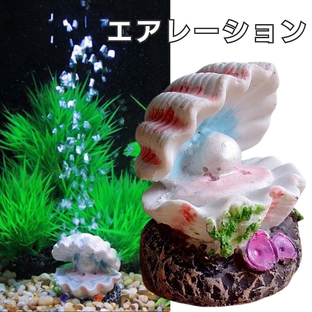 置き配配送】アクアリウム 貝殻 オブジェ 水槽 置物 エアレーション用 