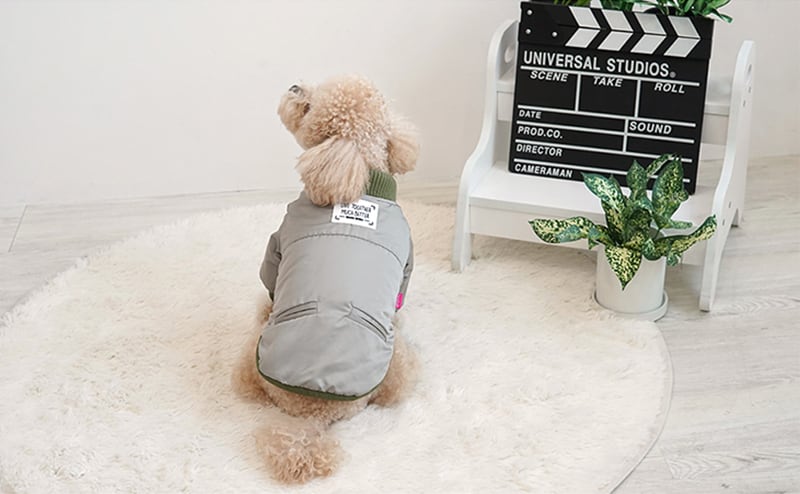 【SALE】トレンディーブルゾン S ~ XL 2color / 犬服 秋冬 新作 アウター ダウン ジャケット ドッグウェア 犬の服 ペット ワンコ服 暖かい 裏起毛 ボア 小型犬 outer27