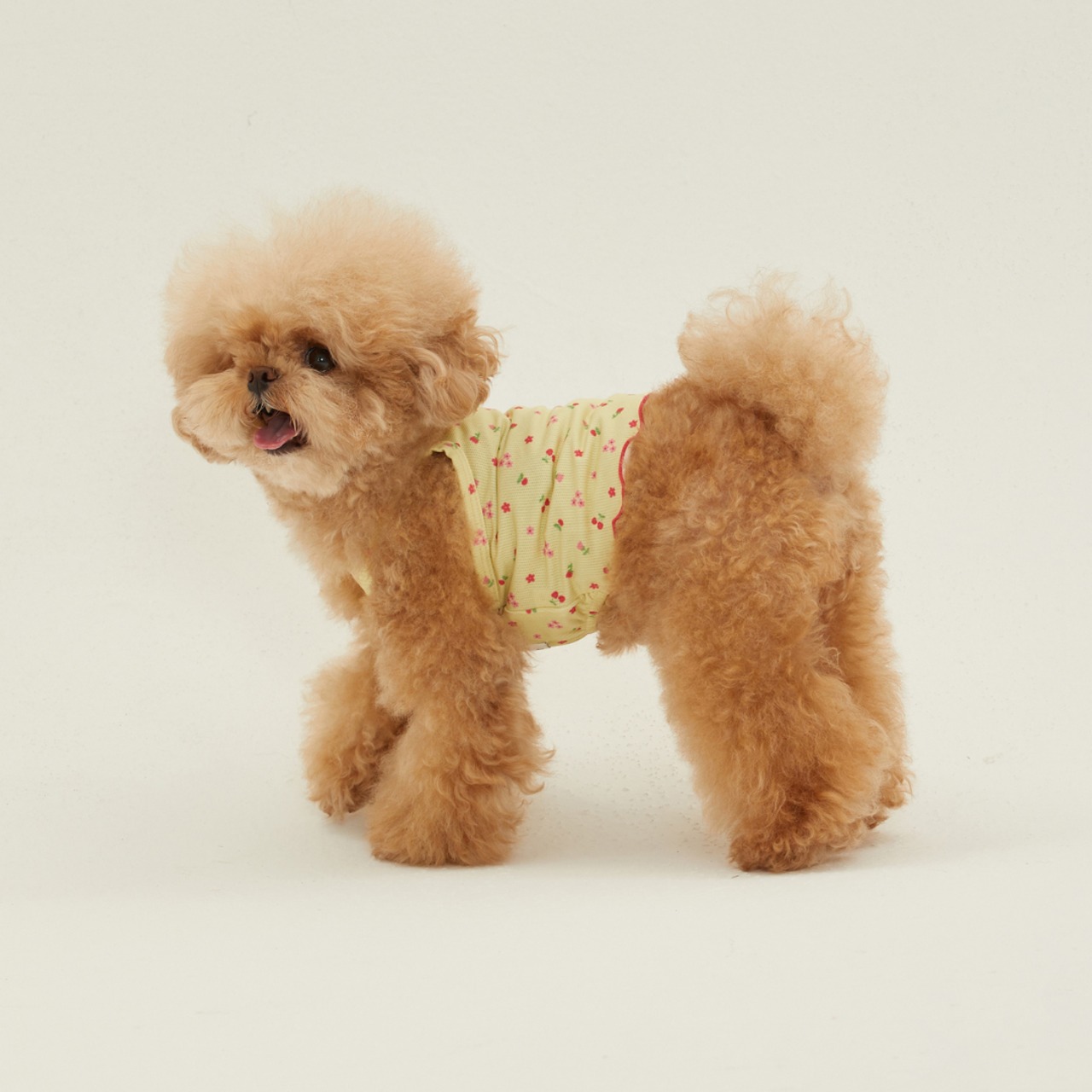 【予約】[ thesallyslaw ] Dewy Cooling Top｜Lemon Floral - 5