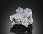 フローライト / スファレライト / クォーツ【Fluorite on Sphalerite with Quartz】ロシア産