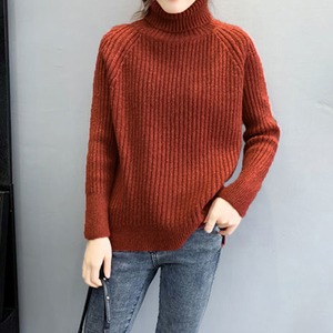 タートルネック ニット セーター レディース 秋冬 トップス おしゃれ きれいめ 大人 かわいい 防寒 保温 カジュアル  フェミニン 大人可愛い 大人女子