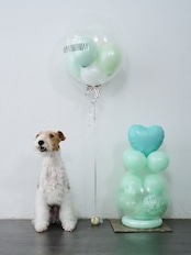 バルーンラッピング POPPING BALLOON Halloween ヘリウムバルーン付き