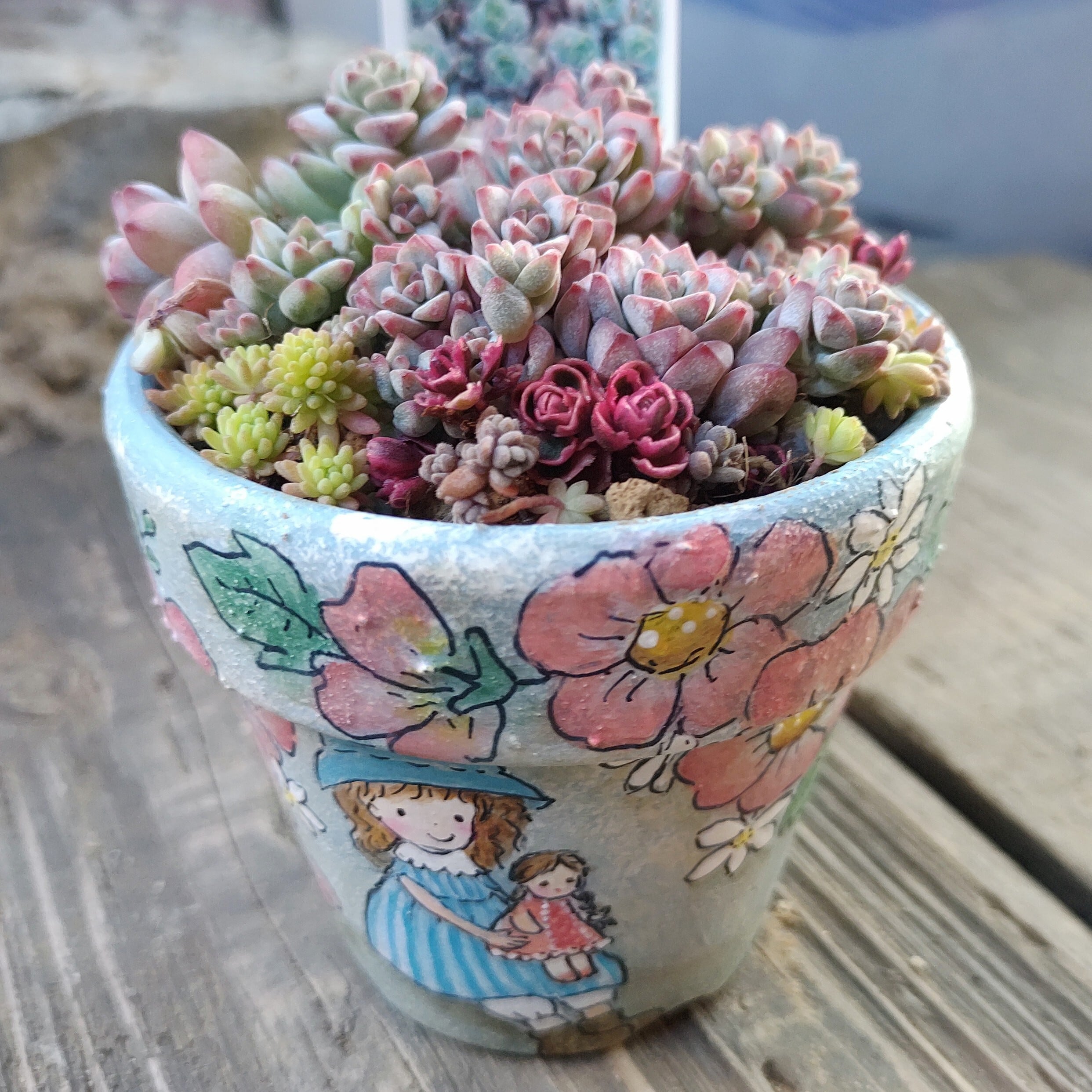 作家さん | RuPo 多肉植物専門店