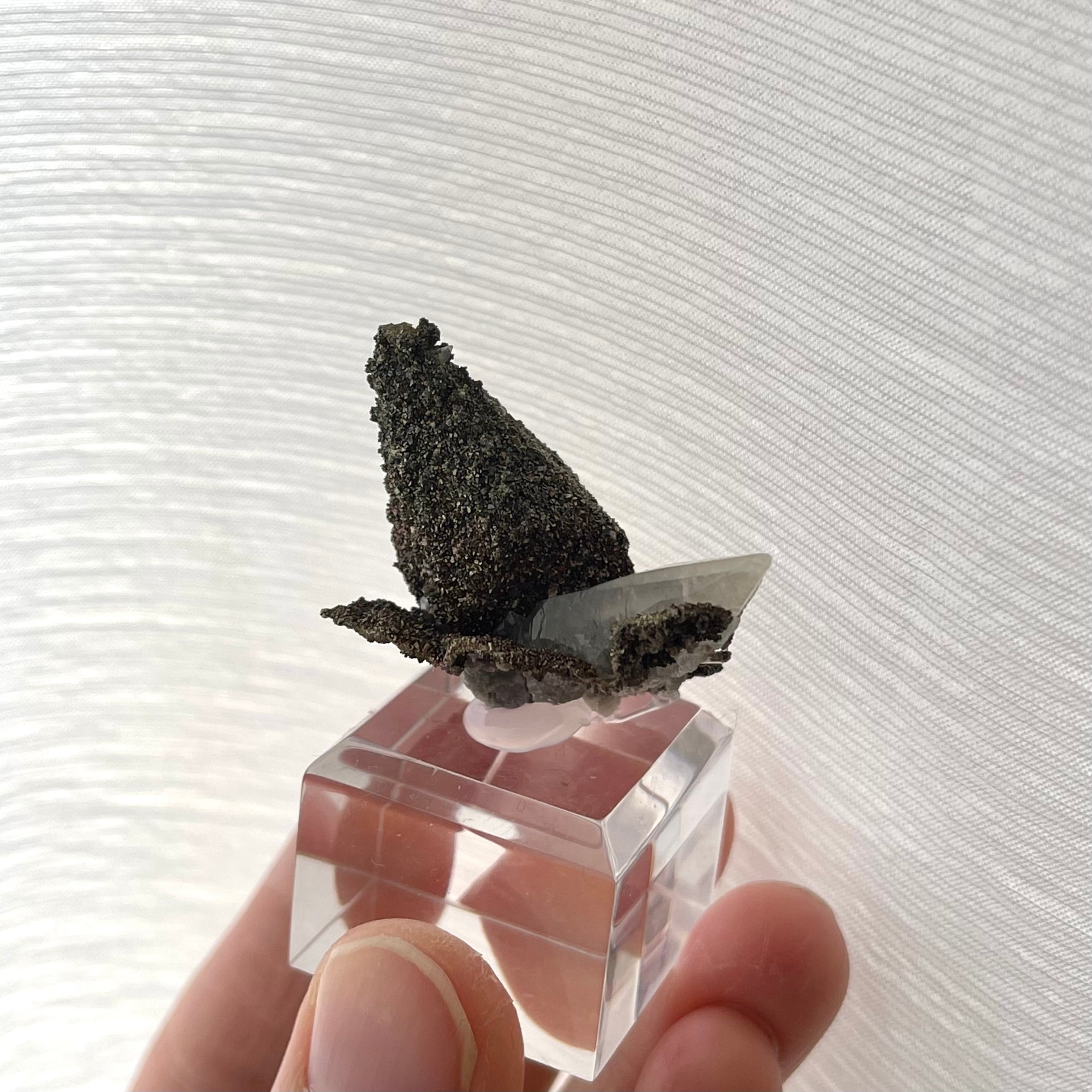 カルサイト / キャルコパイライト【Chalcopyrite on Calcite】アメリカ