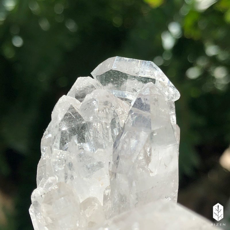 マニハール水晶 サボテンさん♪ | BIZEN Crystals