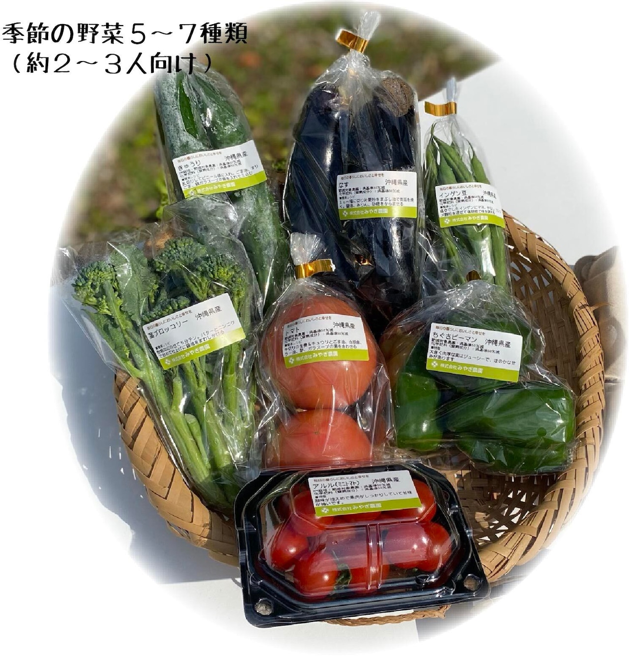 【テイクアウト直接受取用】沖縄県産おまかせ野菜セット〈野菜5~7種類(2~3人向け)〉