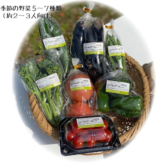 【テイクアウト直接受取用】沖縄県産季節の野菜セット〈野菜5～7種類（2～3人向け）〉