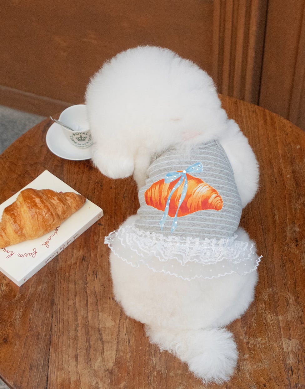 予約【eomuk】Croissant Stone Frill Top