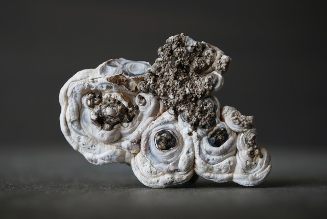 コンシャ・アゲート Concha Agate 1824