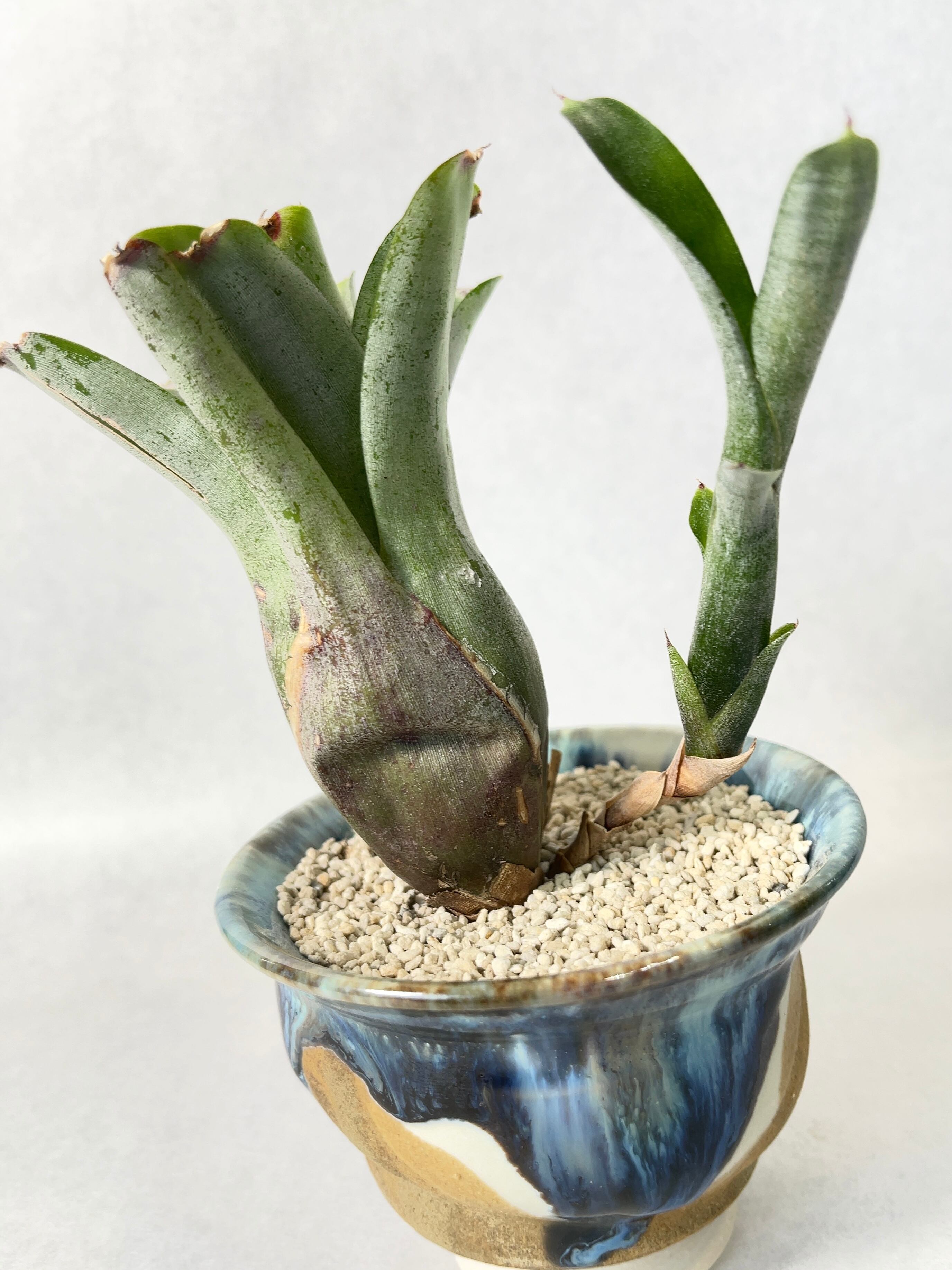 0d2e652fea3879f2e97c158a99a001