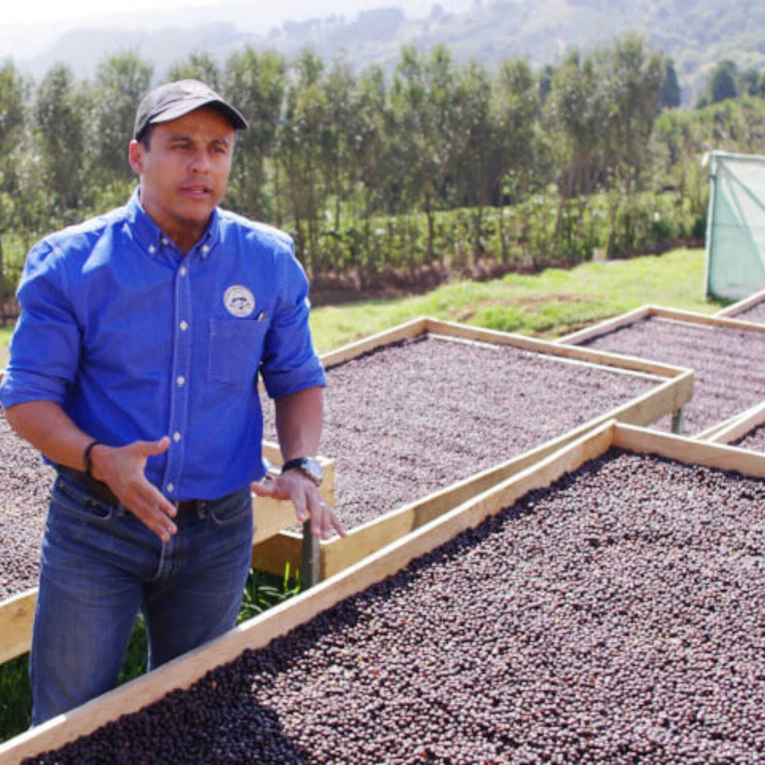 コスタリカ モンテジャノボニート農園 ブラックハニーナチュラル 中浅煎り 150g